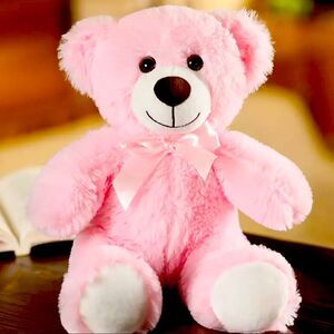 Blush Pink Plush Teddy Bear Gift Valentine Plush